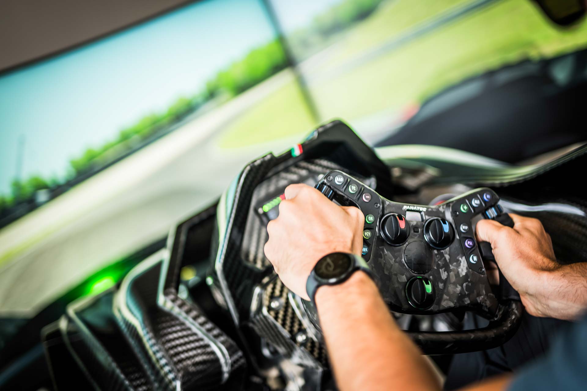 Simulatore professionale